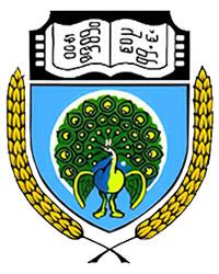 Yangon University
